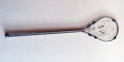 lakrosov plka v zkladnm proveden - pohled zepedu